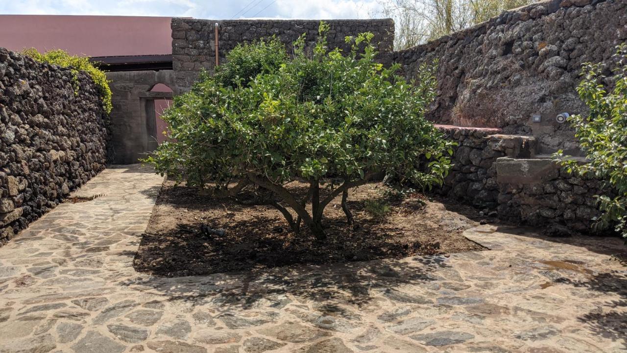 Horizon Pantelleria Bed & Breakfast Campobello Ngoại thất bức ảnh