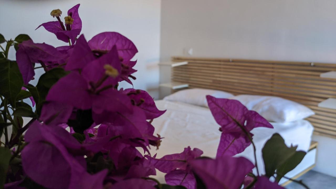 Horizon Pantelleria Bed & Breakfast Campobello Ngoại thất bức ảnh