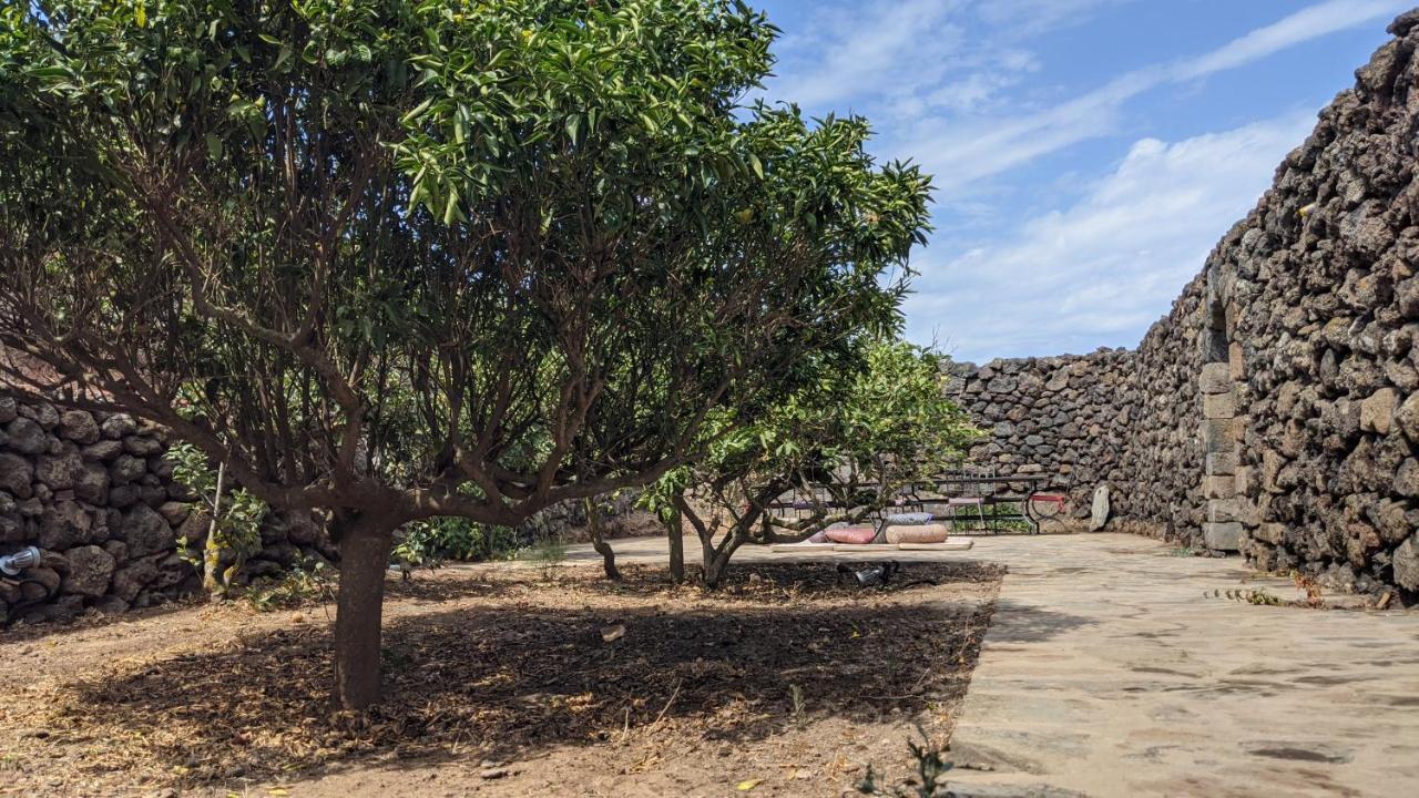 Horizon Pantelleria Bed & Breakfast Campobello Ngoại thất bức ảnh