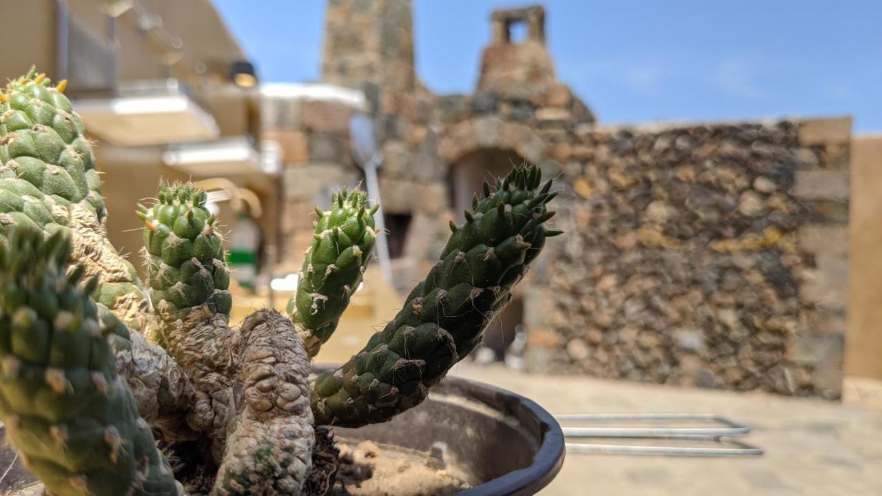 Horizon Pantelleria Bed & Breakfast Campobello Ngoại thất bức ảnh