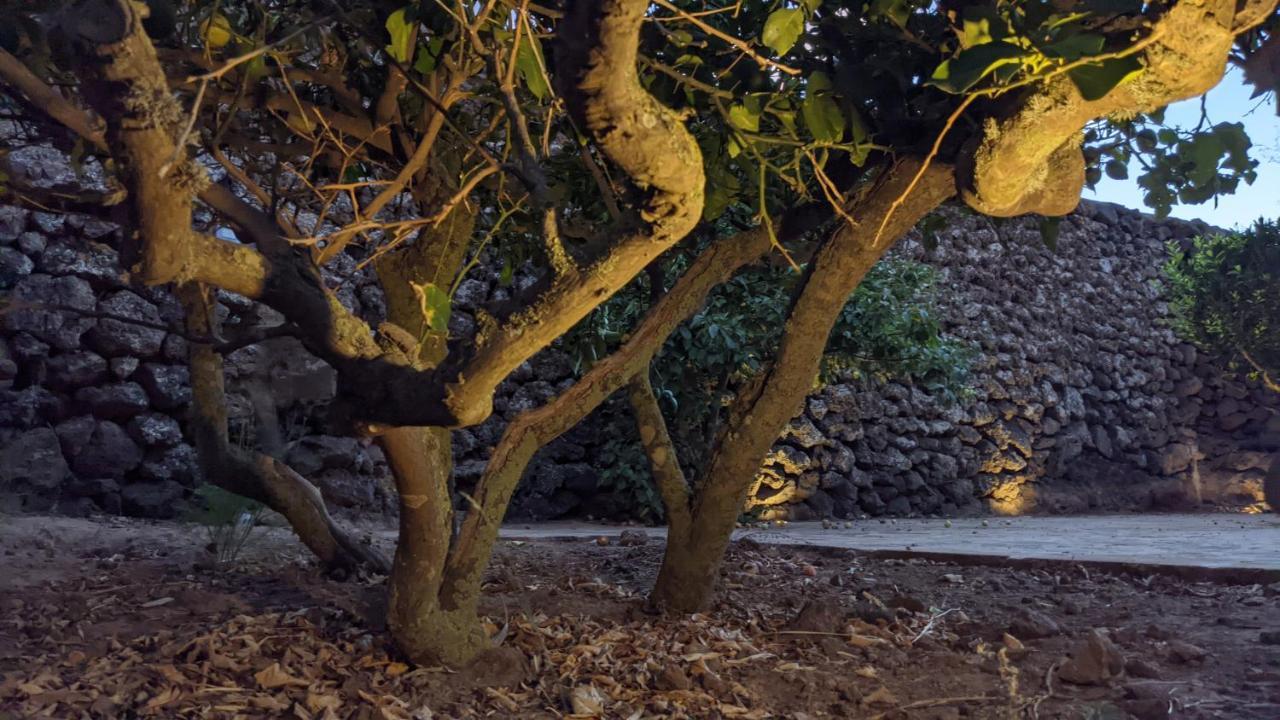 Horizon Pantelleria Bed & Breakfast Campobello Ngoại thất bức ảnh