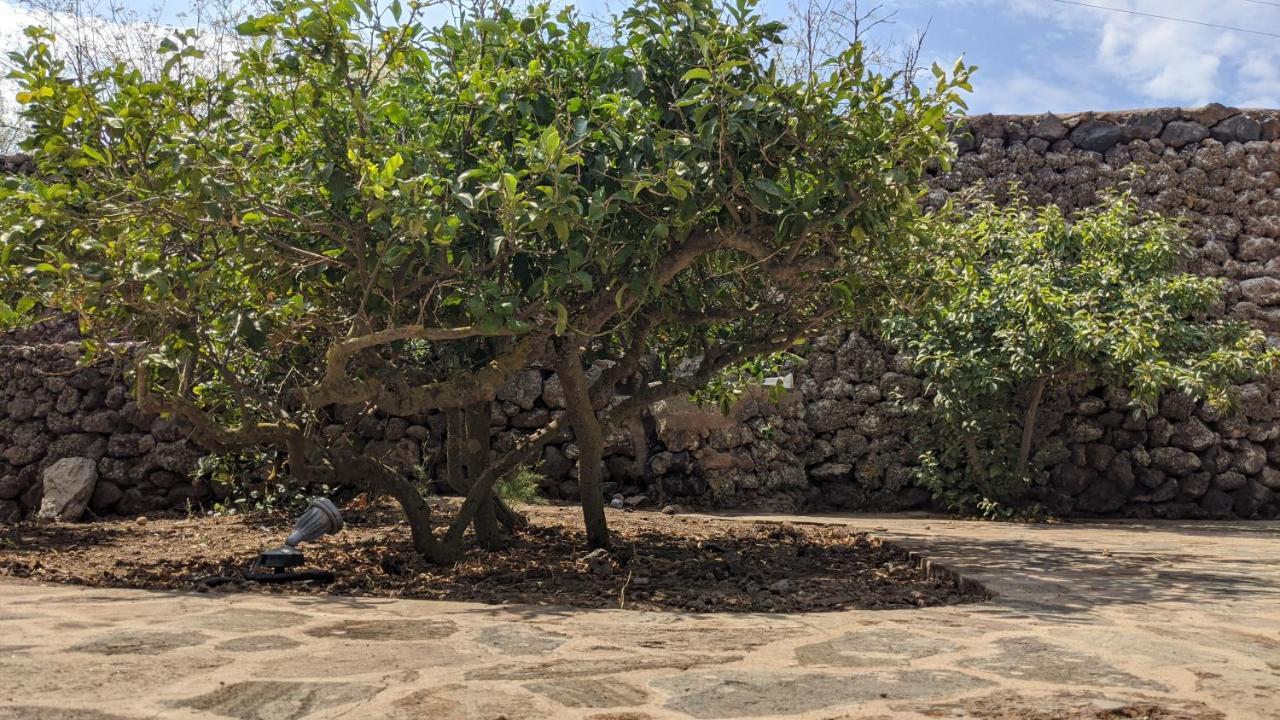 Horizon Pantelleria Bed & Breakfast Campobello Ngoại thất bức ảnh